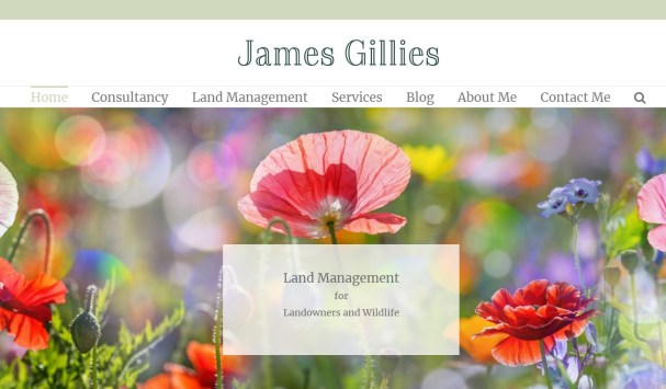 James Gillies home page